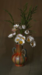 Background with common daisy in vase, lawn daisy or english daisy; Bellis Perennis	