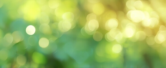 Fototapeta premium The Soft Glow of Nature's Bokeh Background in Lush Green Settings