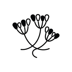 Obraz premium Caraway Vector icon