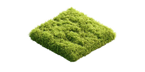 Green Grass Square Patch Isolated on Transparent Background On Transparent Background