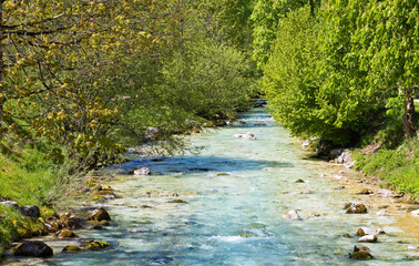 Clear water in the river with rocks