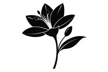 Elegant Black and White Silhouette Illustration of a Lily Flower with Stem and Bud