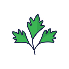 Parsley Vector icon