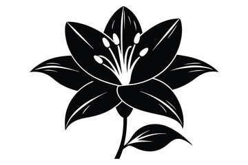Elegant Black Lily Flower Illustration with Stem and Leaves in Simple Design