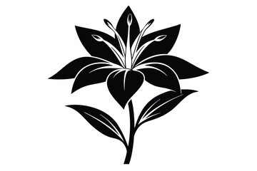 Detailed Black Floral Design Depicting Lily with Leaves and Intricate Stamen Elements