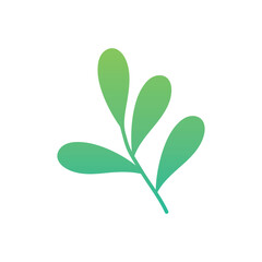 Tarragon Vector icon
