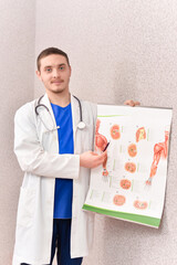 Doctor preparing for consultation Close-up of anatomical chart explanation
