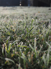 The grass is covered in frost and the image has a cold, wintry mood. The frost on the grass gives the image a serene and peaceful atmosphere