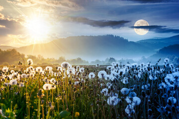 mountainous rural landscape with dandelion meadow in spring. day and night time change concept. backlit foggy scenery in the green valley of perechyn district with sun and moon at twilight