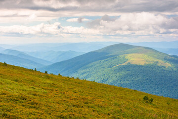 summer landscape with mountain range in cold weather. scenic view of the uzhanian national park valley. alpine scenery under cloudy sky in dappled light