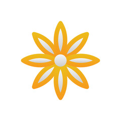 Star Anise Vector icon