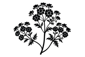 Black Silhouette of Blooming Wildflower Umbel Plant with Leaves, Artistic Nature Illustration