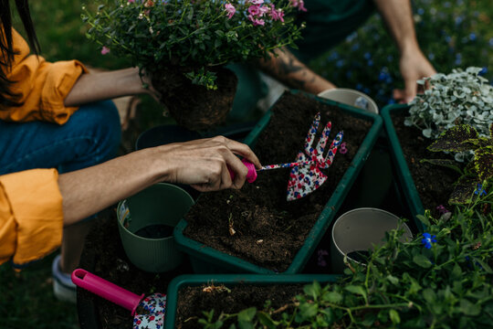 Gardeners transplanting flowers using gardening tools and equipment