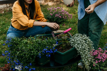 Two people engaging in outdoor gardening activity