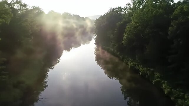 River in the middle of the forest, beautiful aerial view.