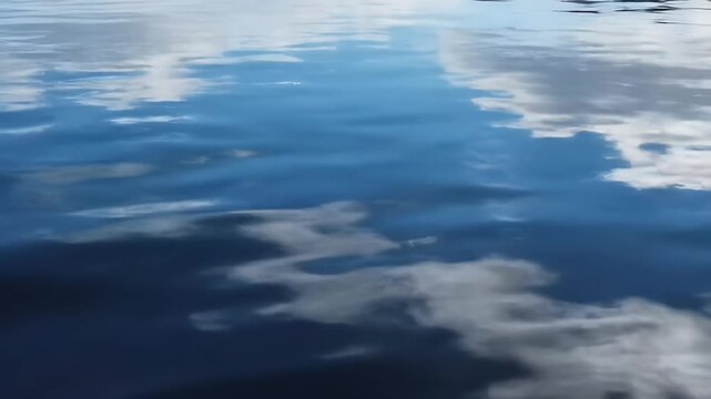 A calm and beautiful pool of water