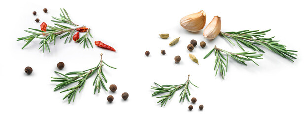 Rosemary with spices isolated on white background. Set of fresh rosemary twig. Top view, green herbs