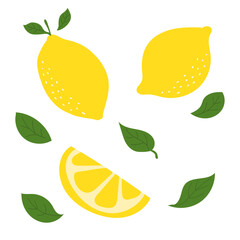 Refreshing illustration of a lemon. Vector.