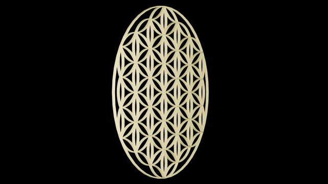 flower and seed of life animation on transparent background. Video footage 4K.