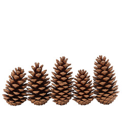Group of five pine cones isolated on transparent background