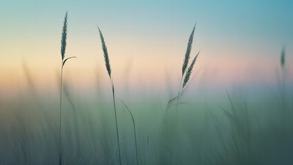 Obraz premium Serene Grass Stalks with Soft Blurred Background