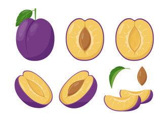 Set of fresh plums fruits icons. Whole and half plum with pit and leaves and pieces. Organic fruits for juice, smoothie or vitamin healthy food. Vector icons illustration isolated on white background.