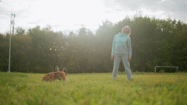 trainer performing neck retraction exercise on grassy football field during sunny morning while basenji dog sniffs ground nearby surrounded by lush greenery peaceful environment and natural setting