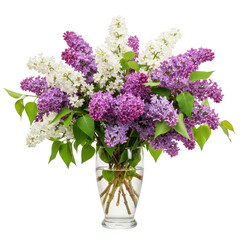 Lilac flower bouquet in glass vase isolated on transparent background