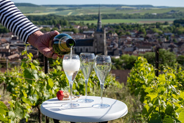 Pouring and tasting of dry sparkling wine brut, grand reserve, champagne in Ay-Champagne on green...