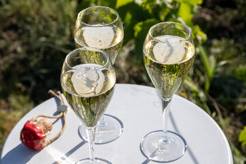 Pouring and tasting of dry sparkling wine brut, grand reserve, champagne in Ay-Champagne on green hilly vineyards in old wine making village in Vallee de la Marne, Champagne region, France