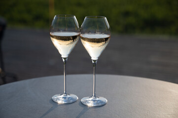 Glasses of white sparkling wine brut, grand reserve, champagne on green hilly vineyards in old wine making grand cru Ay-Champagne village in Vallee de la Marne, Champagne, France