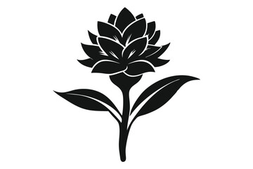 Silhouette Illustration of Turmeric Plant Featuring Flower, Stem, and Two Leaves Design