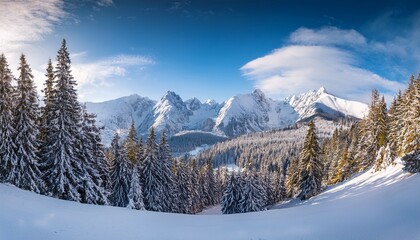 tatra mountains poland panorama of a mountain landscape winter in the mountains © Mia