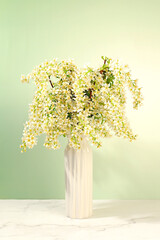 Still life with beautiful spring branches of blooming bird cherry in vase on elegant background. Abstract floral composition and banner for screen, floral holiday card with summer greeting concept