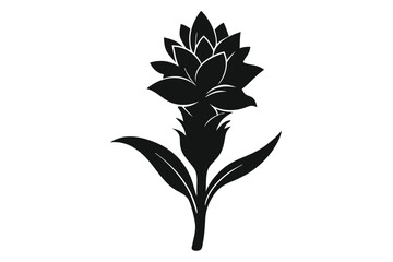 Artistic Black Silhouette Depicting a Curcuma Flower with Leaves and a Stem