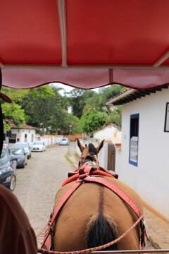 Transportando