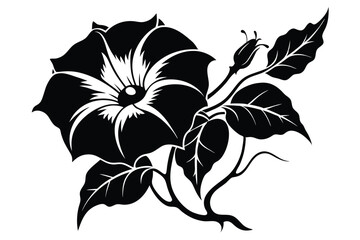 Silhouette of Elegant Morning Glory Flower with Bud and Leaves Artfully Arranged