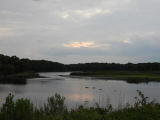 Beautiful evening scenery of the wetlands within the Bombay Hook National Wildlife Refuge, Kent...