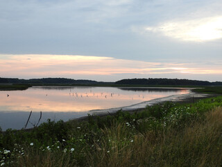 Tranquil beauty, of the wetlands within the Bombay Hook National Wildlife Refuge, Kent County,...