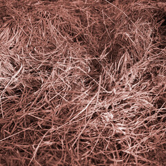 Dry hay texture in sepia tone on ground background for natural farm concept