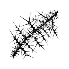 Abstract black thorny branch illustration in a minimalist style