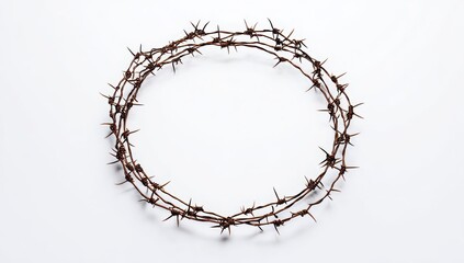 Barbed Wire Crown Circle Shape on White Background Religious Easter Lent Concept