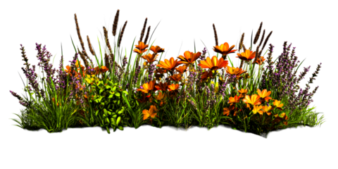 Garden patch with orange flowers and lavender, cut out transparent