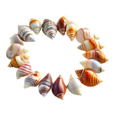 Trendy Shell Anklet with Contemporary Design of L Isolated on Transparent Background