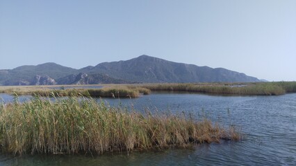 A wide river flows among hills and mountains, the slopes of which are covered with bushes and trees. Wind ripples on the water. There are reeds growing in the water. Sunny, haze and blue sky