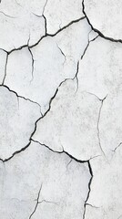 Obraz premium Cracked, white, arid surface; desiccated land.