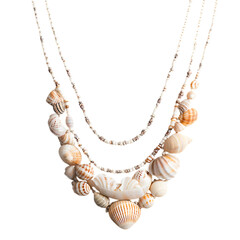 Trendy Bohemian Shell Necklace with Layered Natural Isolated on Transparent Background