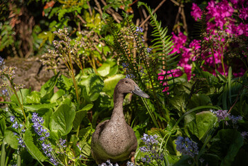 Duck in Flowers