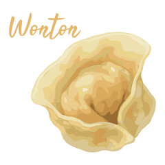 wonton dimsum in watercolor illustration style, isolated vector on white background
