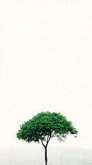 Fototapeta premium Single vibrant green tree in water with white background simple modern design photography